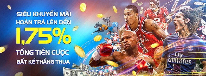 khuyến mãi 8live - Hoàn trả 1.75% bất kể thắng thua