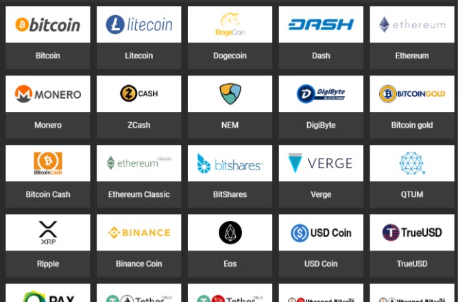 Các loại tiền điện tử được chấp nhận trong 1xbit