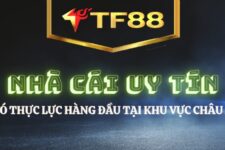 TF88 – Nơi cảm xúc cá cược được thăng hoa