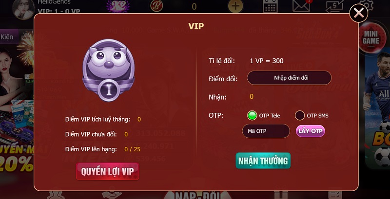 Điểm giống về các tính năng dành cho thành viên Vip