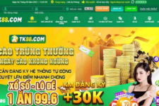 TK88 – Review Chi Tiết Nhà Cái Cá Cược Nổi Tiếng Nhất Hiện Nay – 2023