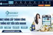 SHBET – Review Chi Tiết Nhất Về Nhà Cái Cá Cược – Update 4/2023