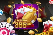 Cùng Casino365 Giftcode khởi nghiệp với những điều hấp dẫn