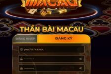 Hướng dẫn đăng ký và đăng nhập Macau Club với các hình thức nhanh gọn 